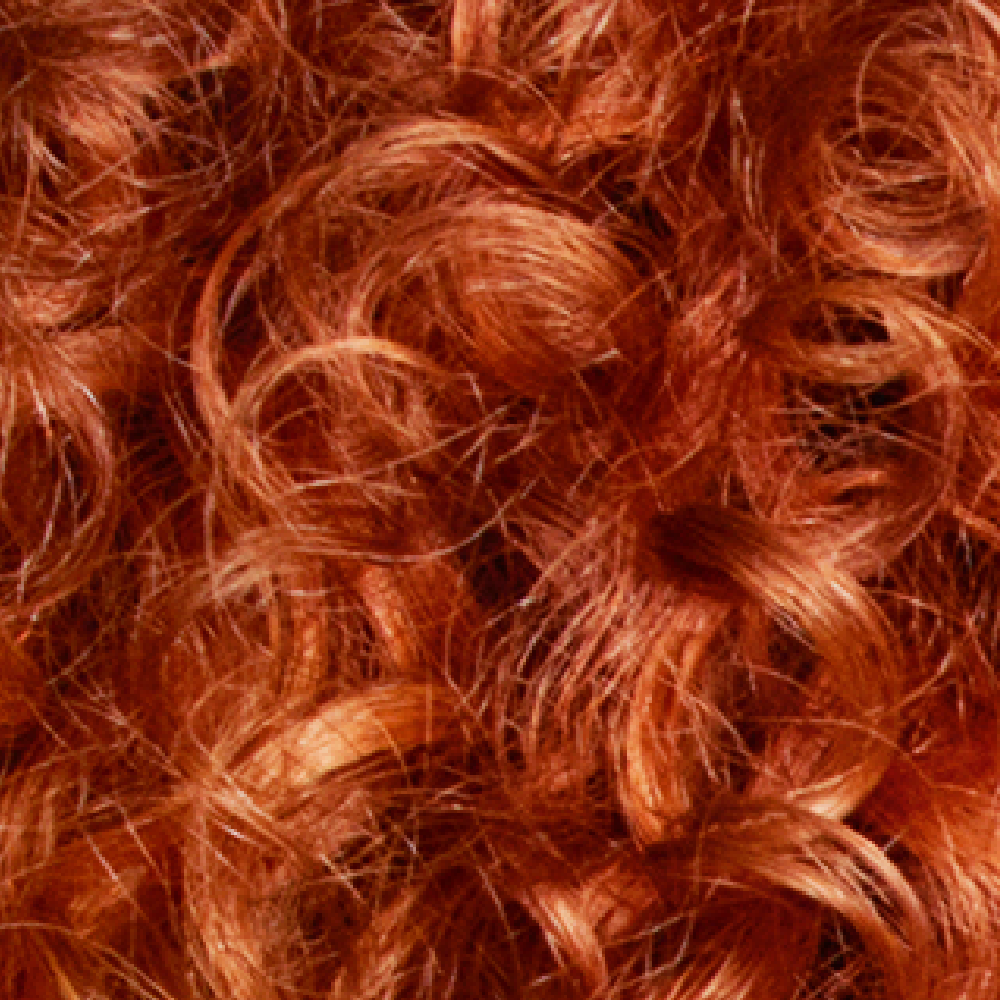 LIVE Colour Hair Dye from Schwarzkopf